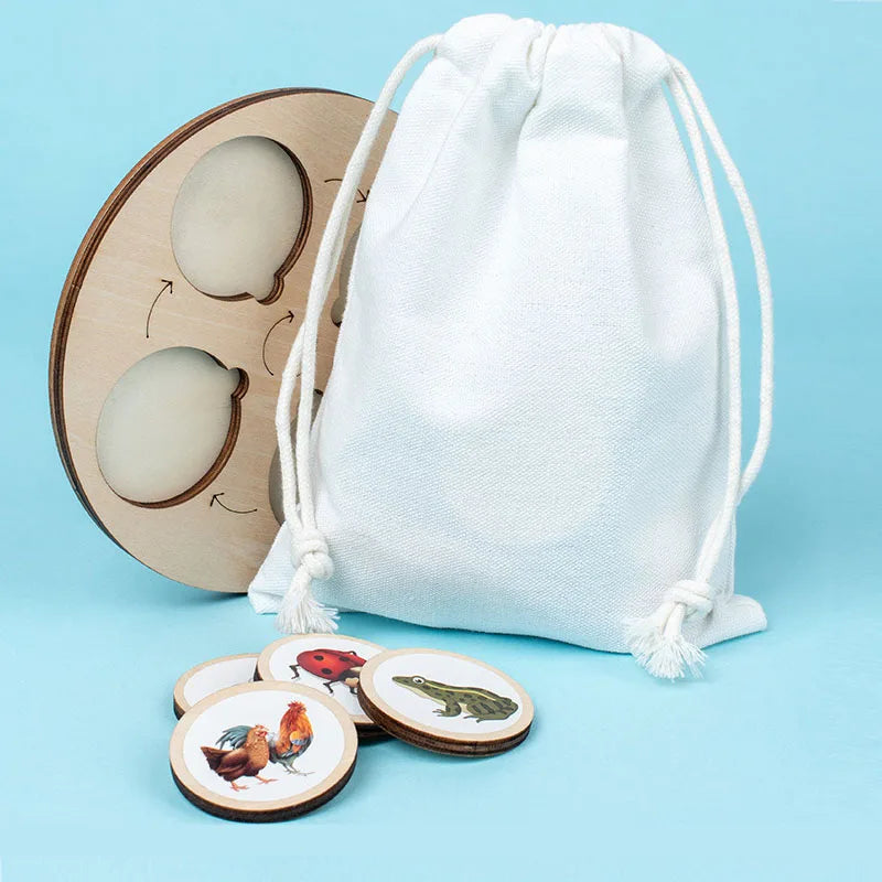 Life Cycle Board Montessori Biology Science Kit