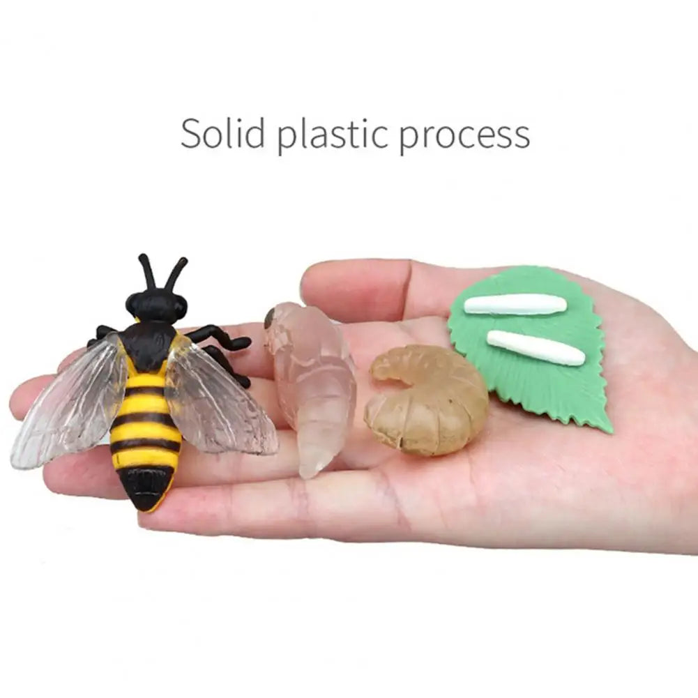 Animal Life Cycle Biology Science Kit Figurines