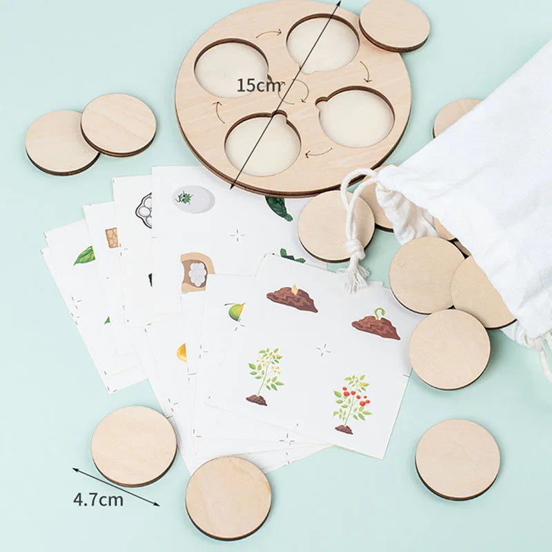 Life Cycle Board Montessori Biology Science Kit