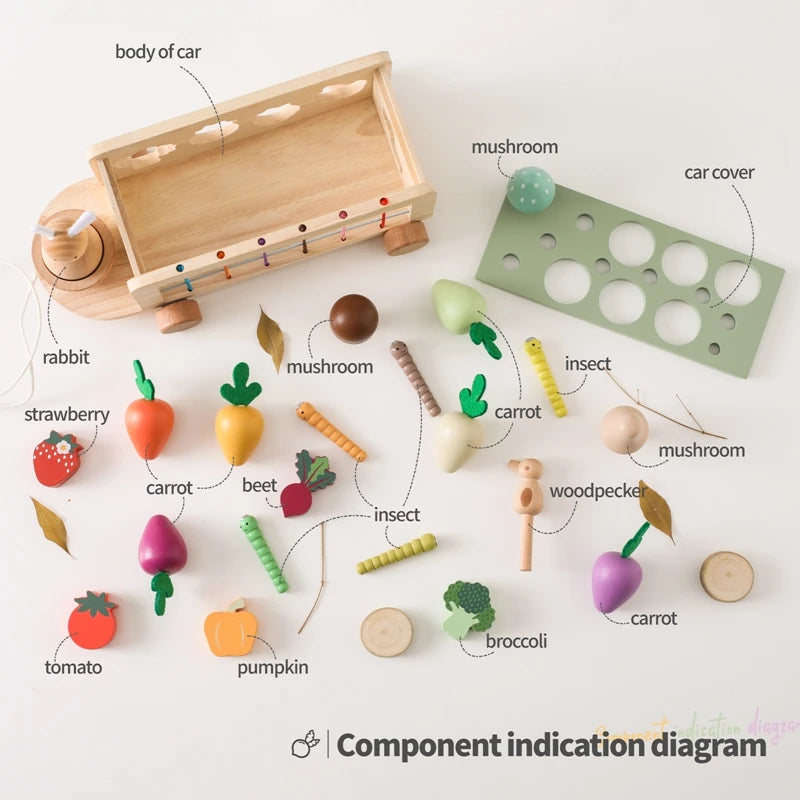Montessori Wooden Vegetable Car – Pull & Shape Matching Toy