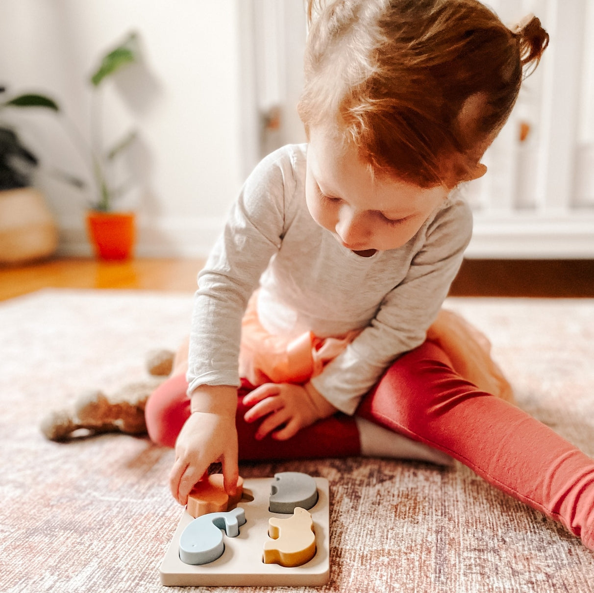 Montessori Silicone Building Blocks - Animals