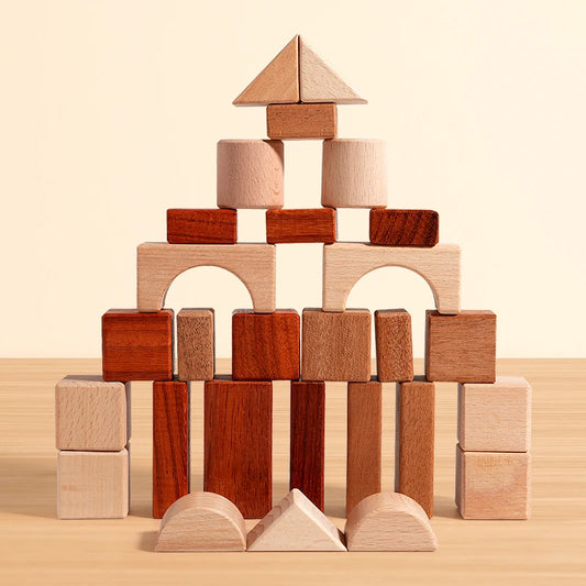 Montessori Wooden 29-Piece Building Block Set