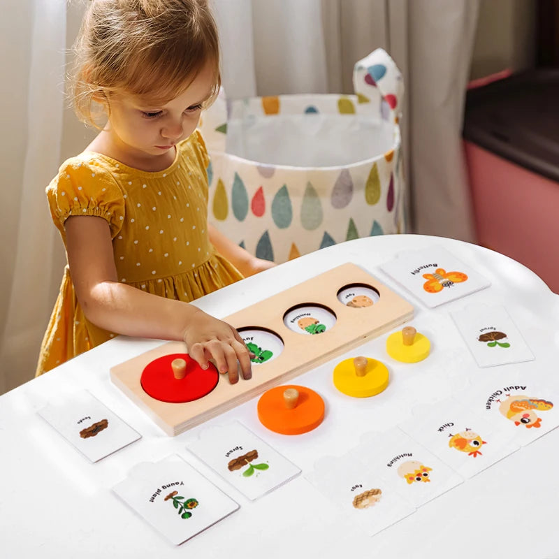 Montessori Wooden Growth Stage Sorting & Matching Puzzle