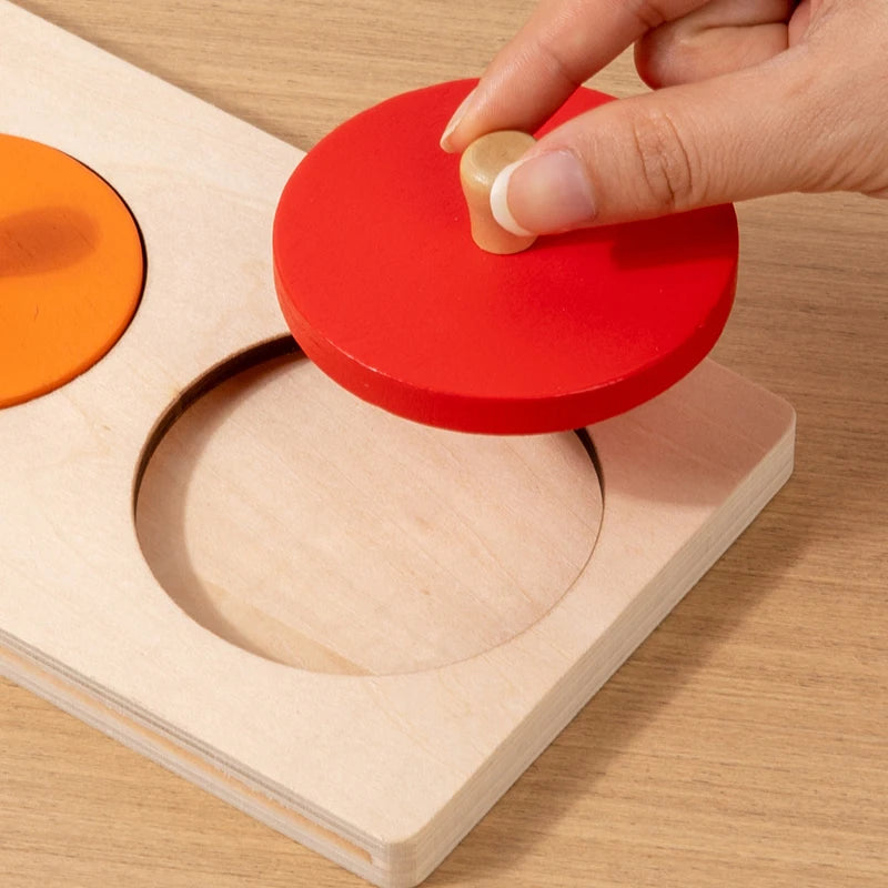 Montessori Wooden Growth Stage Sorting & Matching Puzzle