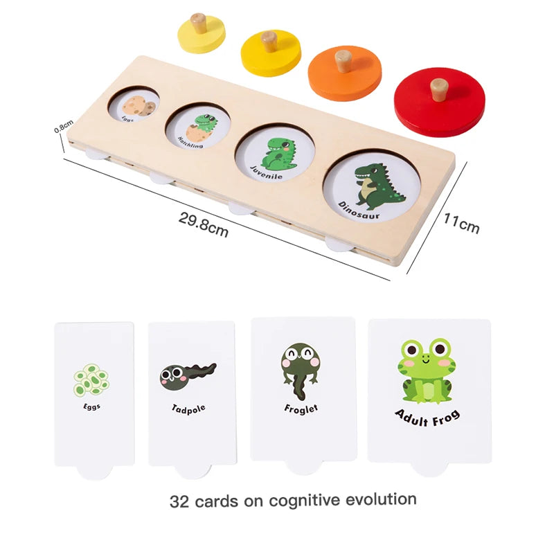 Montessori Wooden Growth Stage Sorting & Matching Puzzle