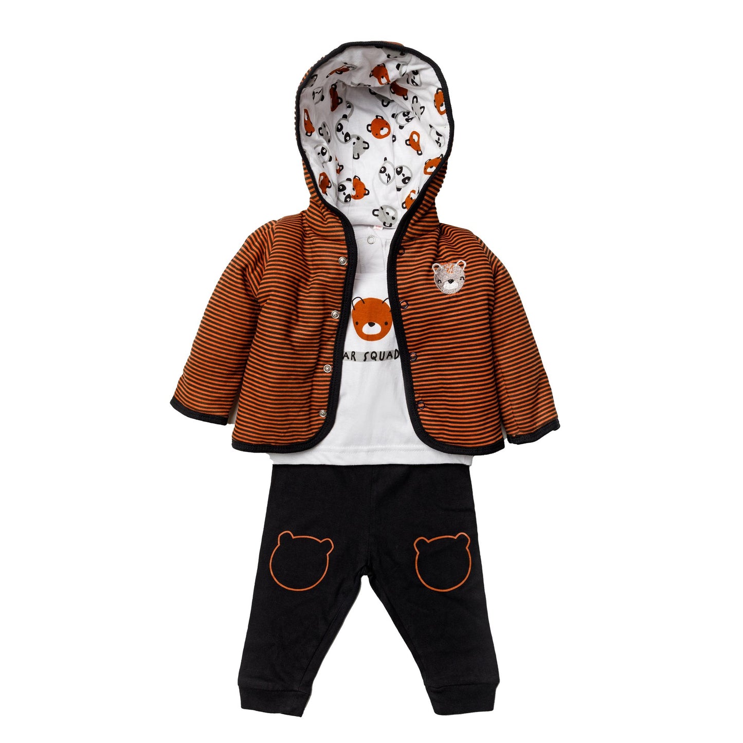 Baby Boy's Hoodie and Jogger Set